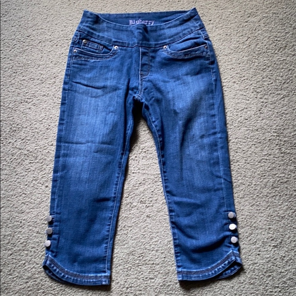 Bluberry Denim Stretch Skinny Crop Jeans